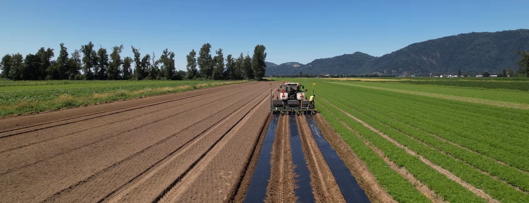 būmigro Mulch Film by būmi Herber City, Utah, USA